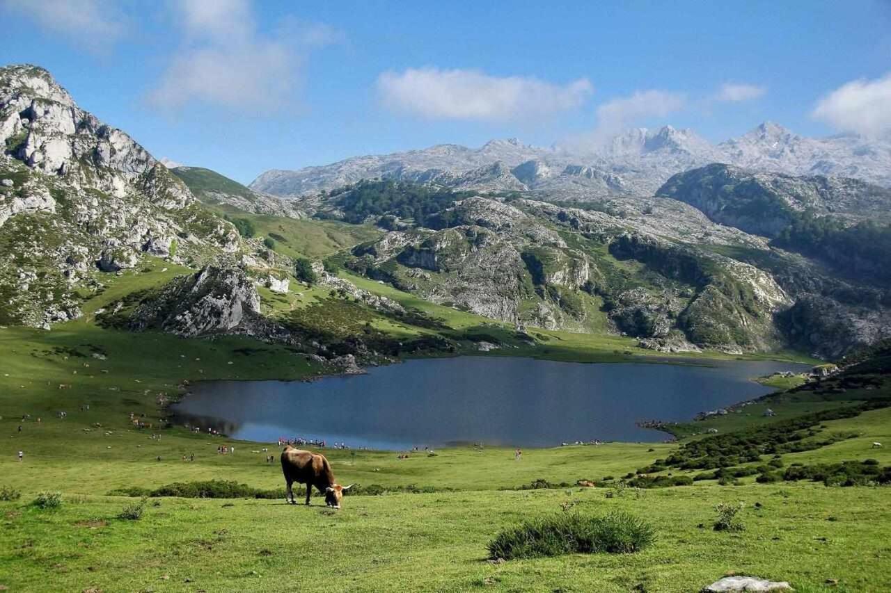 La Carrozal Senda Del Oso *